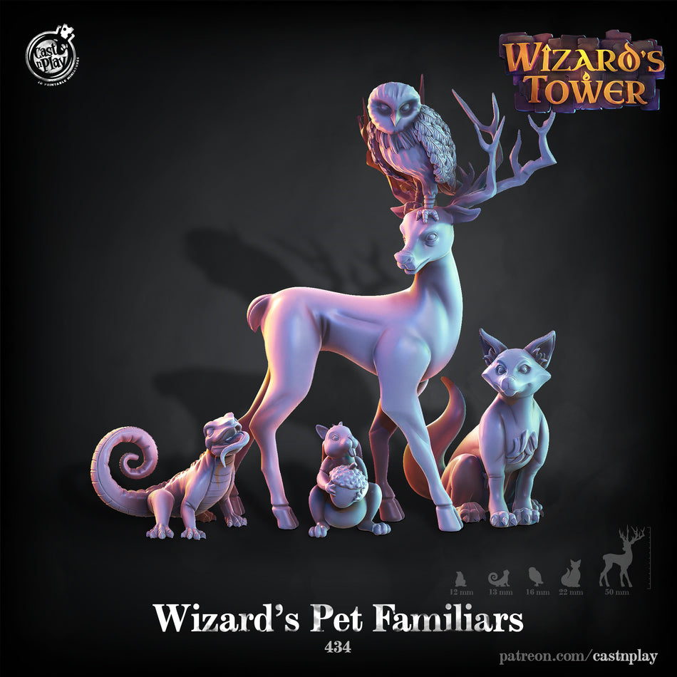 Wizard's Pet Familiars - Wizards Tower - Cast n Play