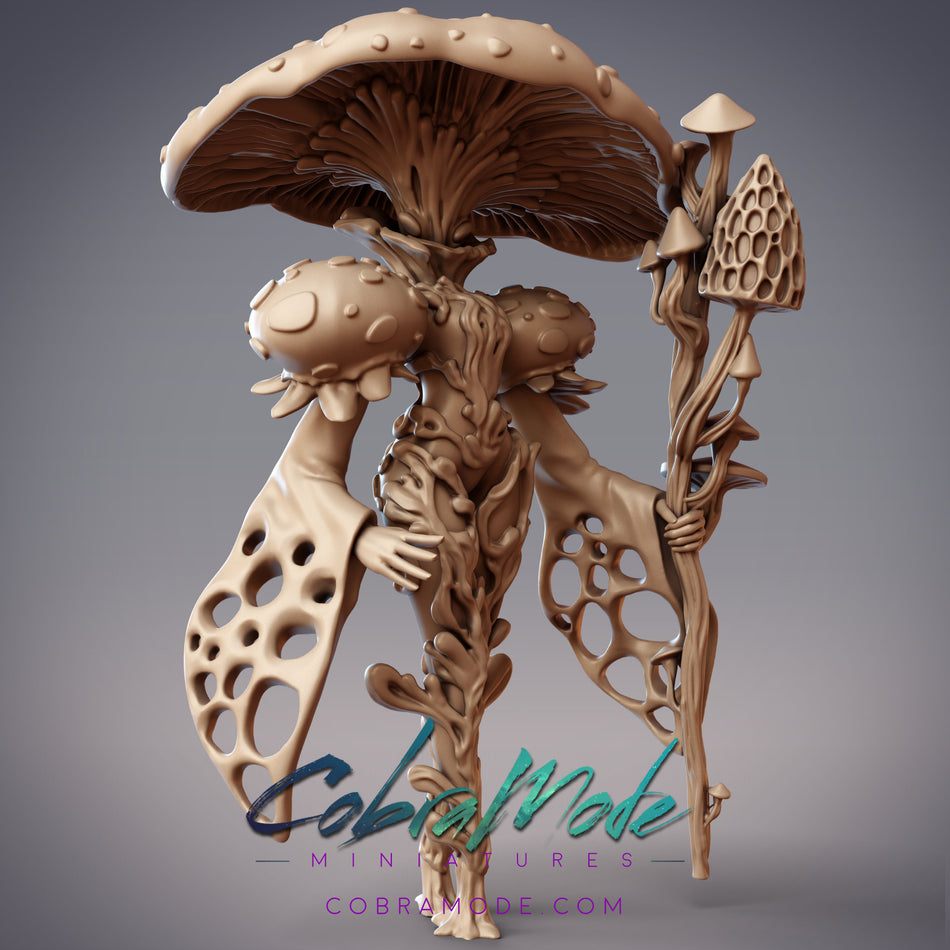Arcanist, Fungal Mage Miniature - Sylvan Forest - Caillech Spawn - CM