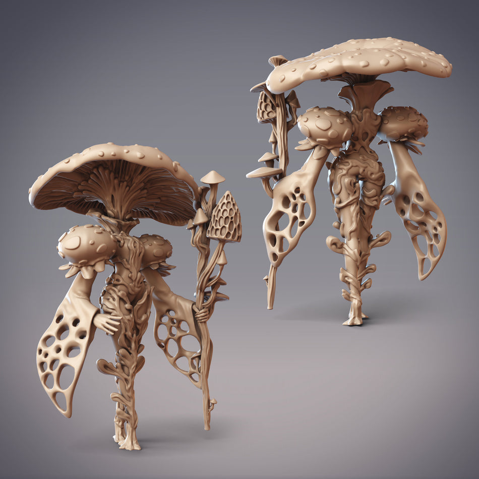 Arcanist, Fungal Mage Miniature - Sylvan Forest - Caillech Spawn - CM