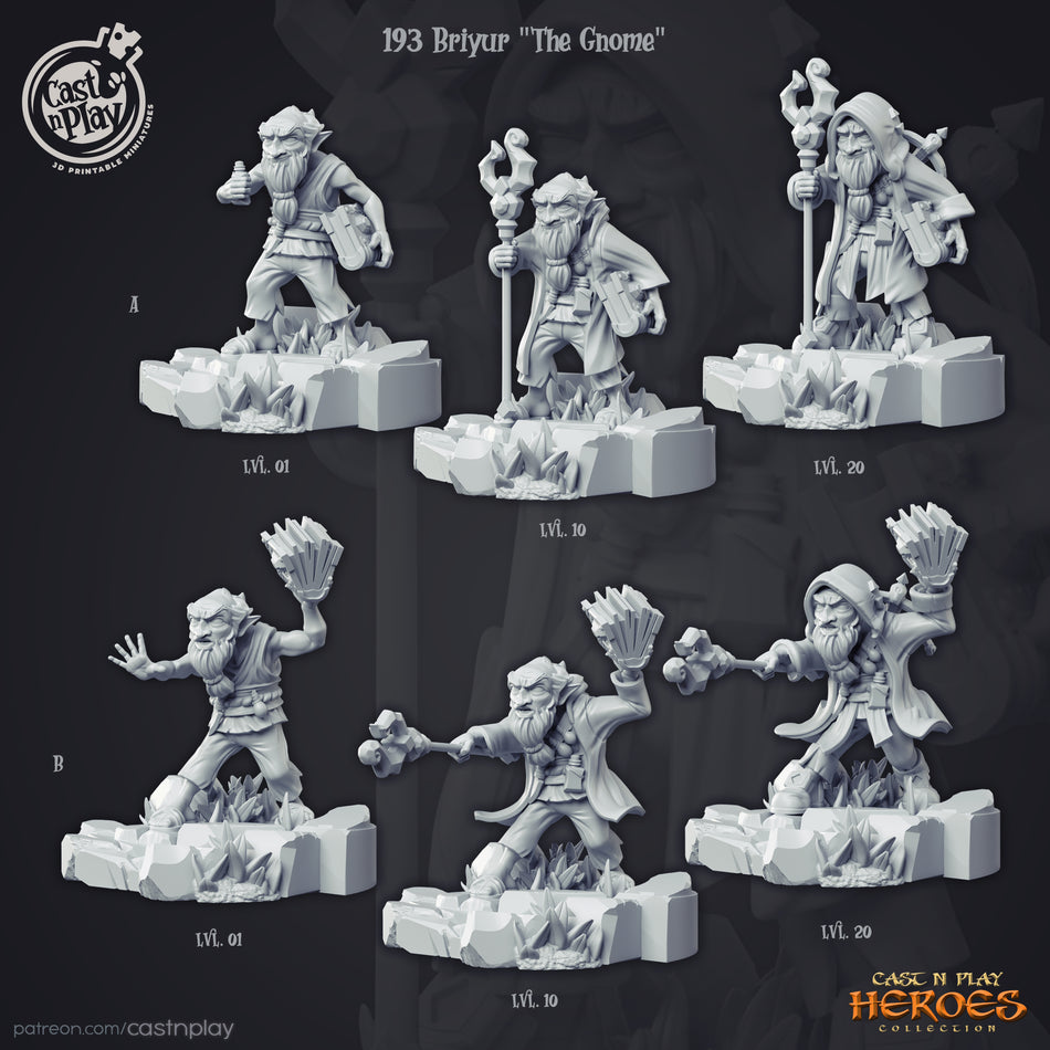 Briyur the Gnome - Heroes Collections 1 - Cast n Play