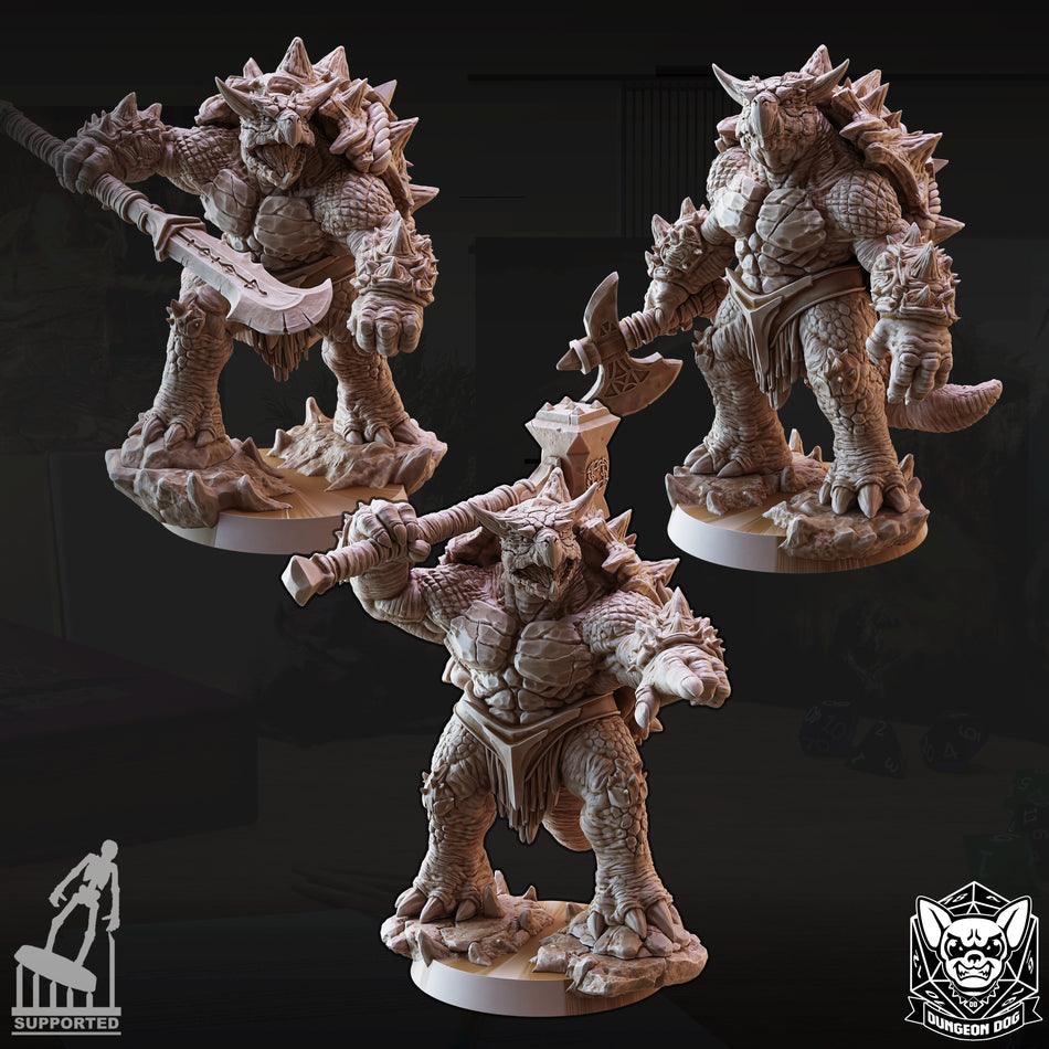 Tortle Barbarian - Dungeon Dog