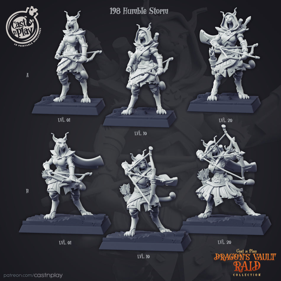 Humble Storm - Dragons Vault Raids - Cast n Play