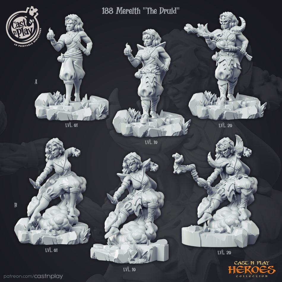 Mereith the Druid - Heroes Collections 1 - Cast n Play