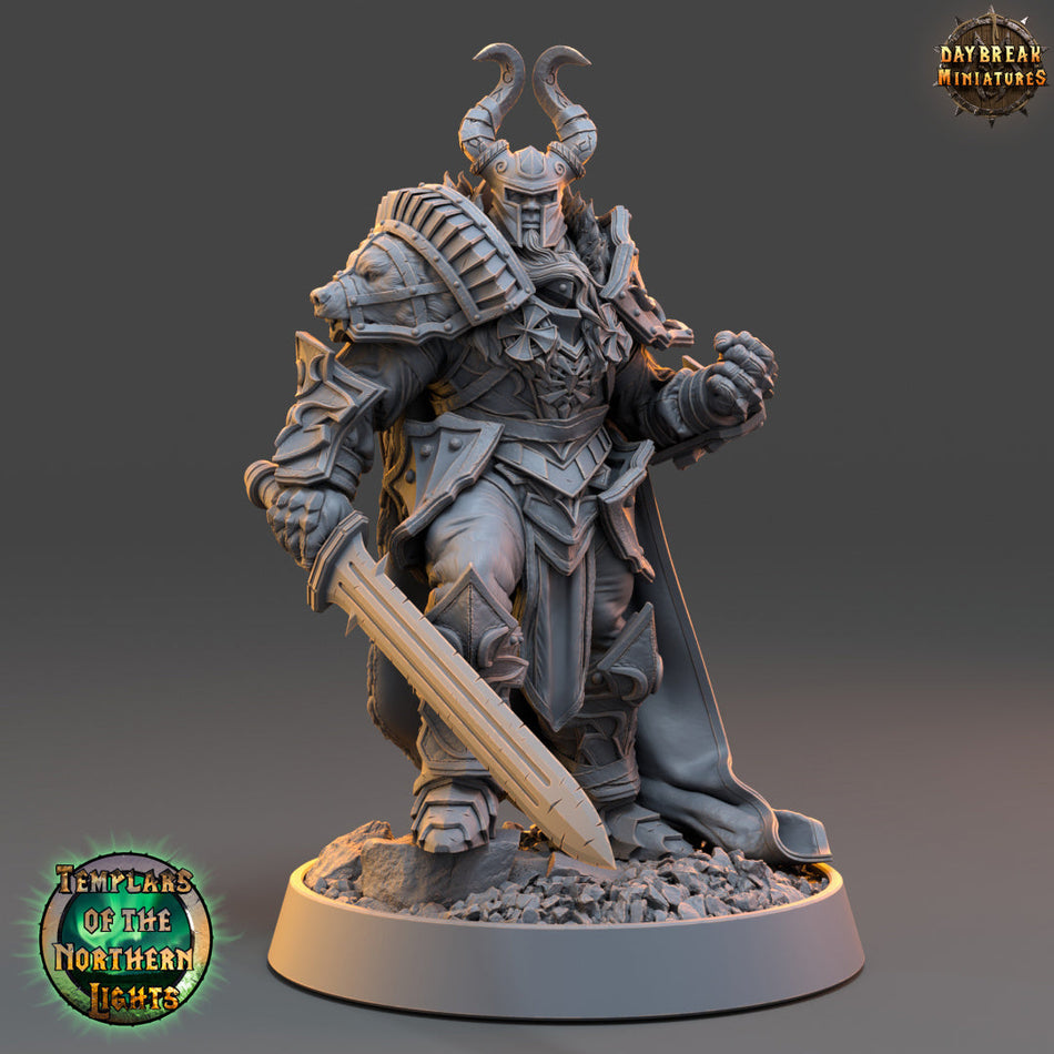 Kämpfer - Templars of the Northern Lights - Daybreak Miniatures