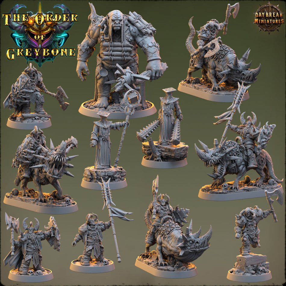 Paladin - The Order of Greybone - Daybreak Miniatures