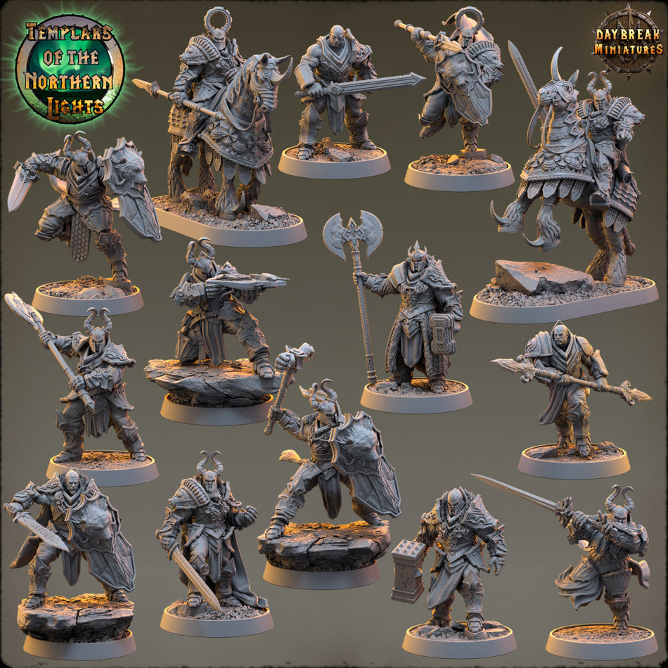 Kämpfer - Templars of the Northern Lights - Daybreak Miniatures