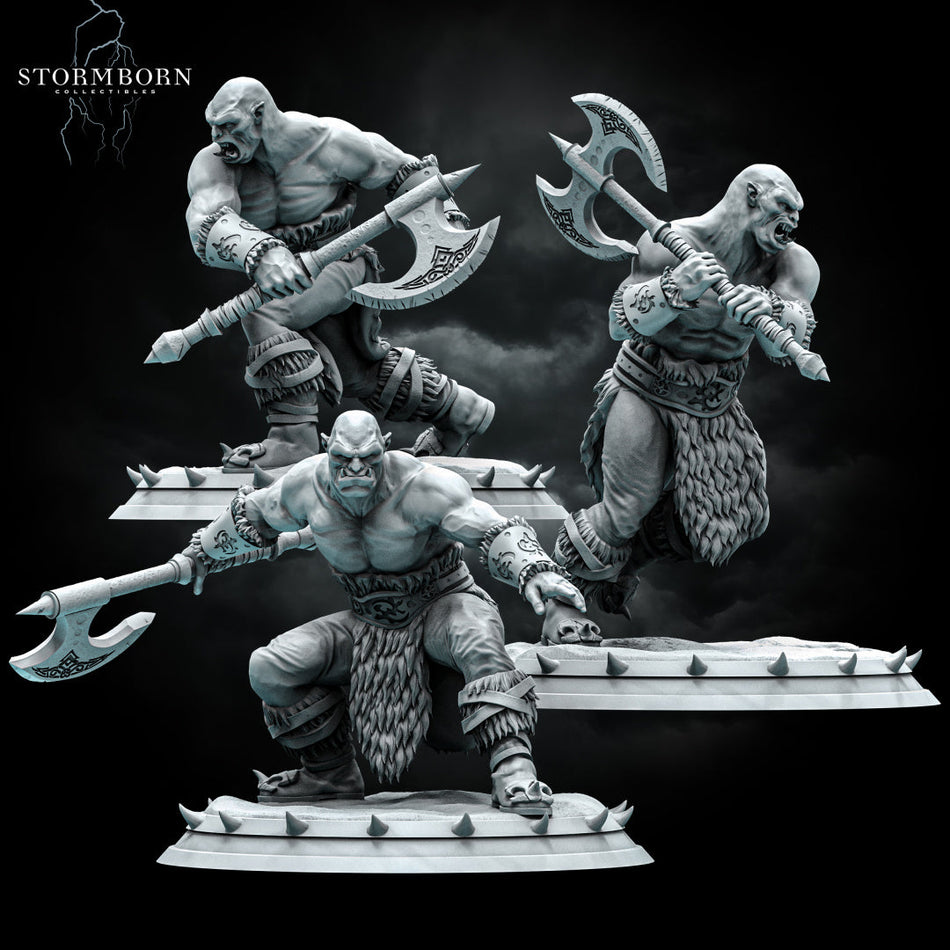 Orc Warriors - Stormborn Collectibles