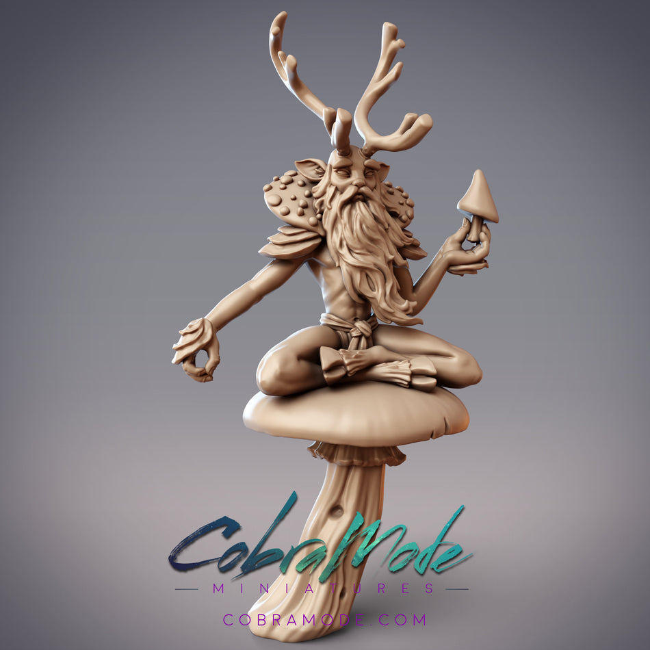 Riabhach, Forest Fey Druid Miniature - Sylvan Forest - Ciorcal Druid - CM