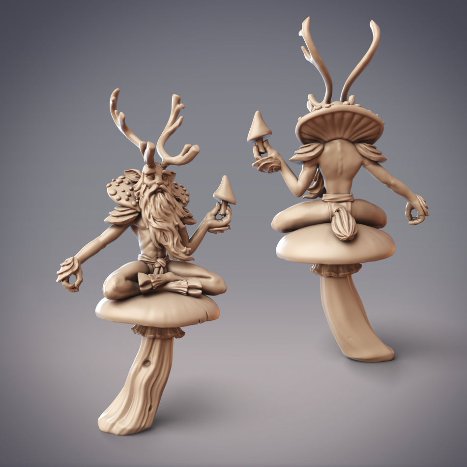 Riabhach, Forest Fey Druid Miniature - Sylvan Forest - Ciorcal Druid - CM